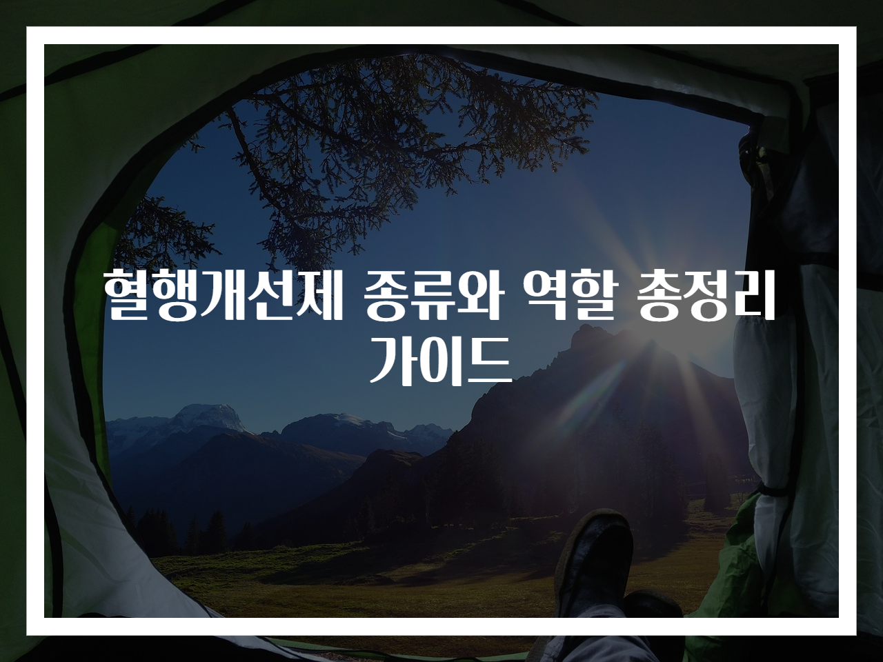 혈행개선제 종류와 역할 총정리 가이드