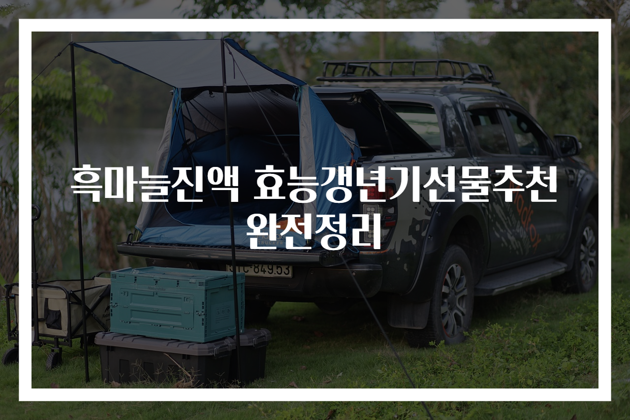 흑마늘진액 효능갱년기선물추천 완전정리
