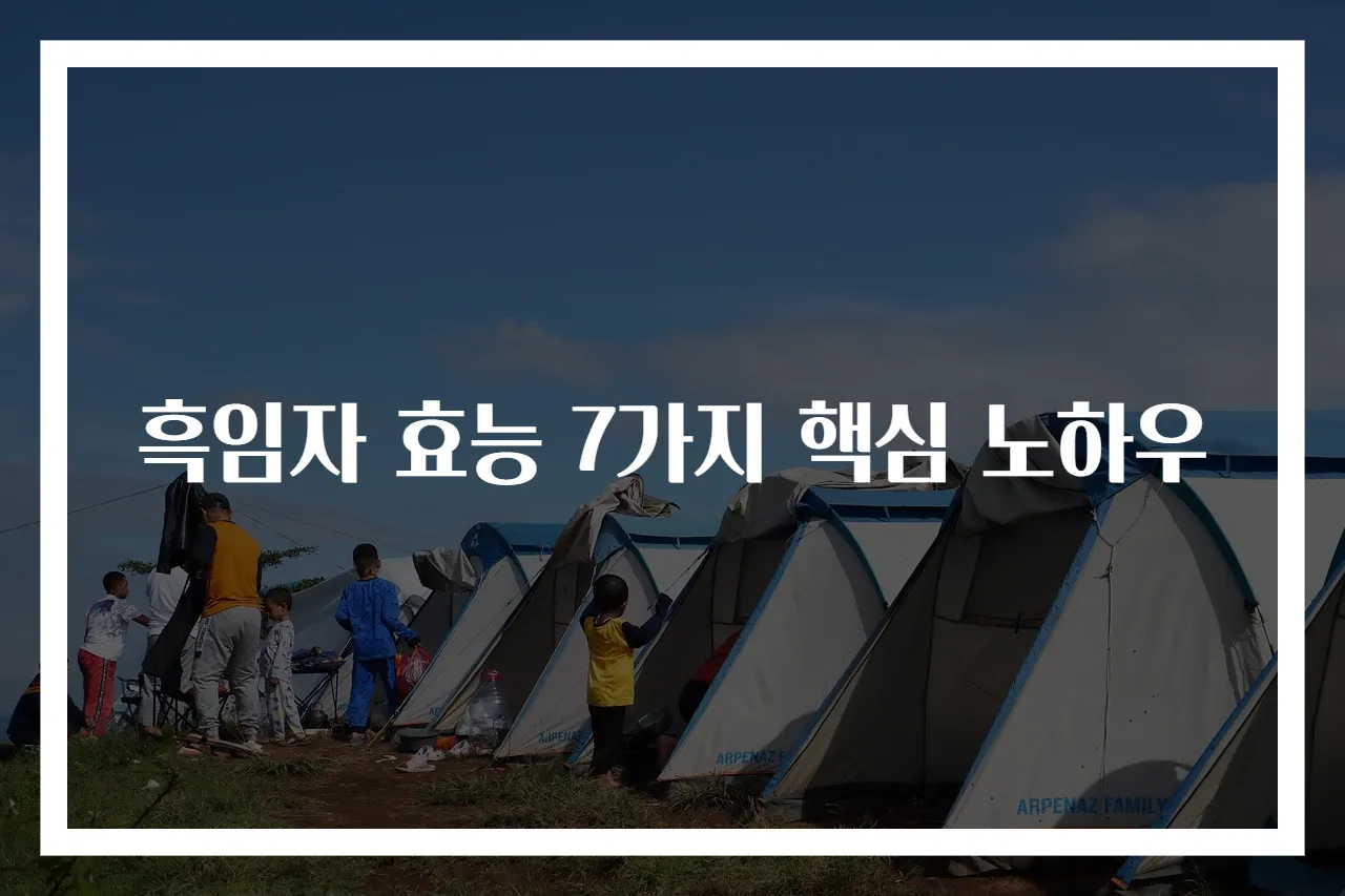 흑임자 효능 7가지 핵심 노하우