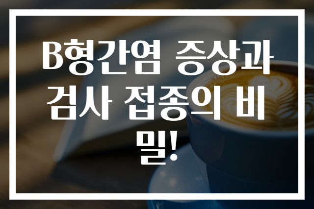 B형간염 증상과 검사 접종의 비밀!