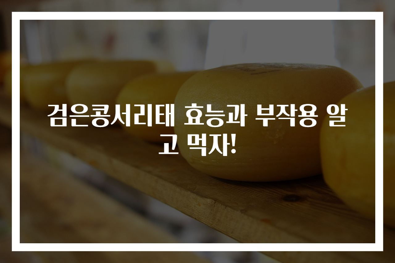 검은콩서리태 효능과 부작용 알고 먹자!