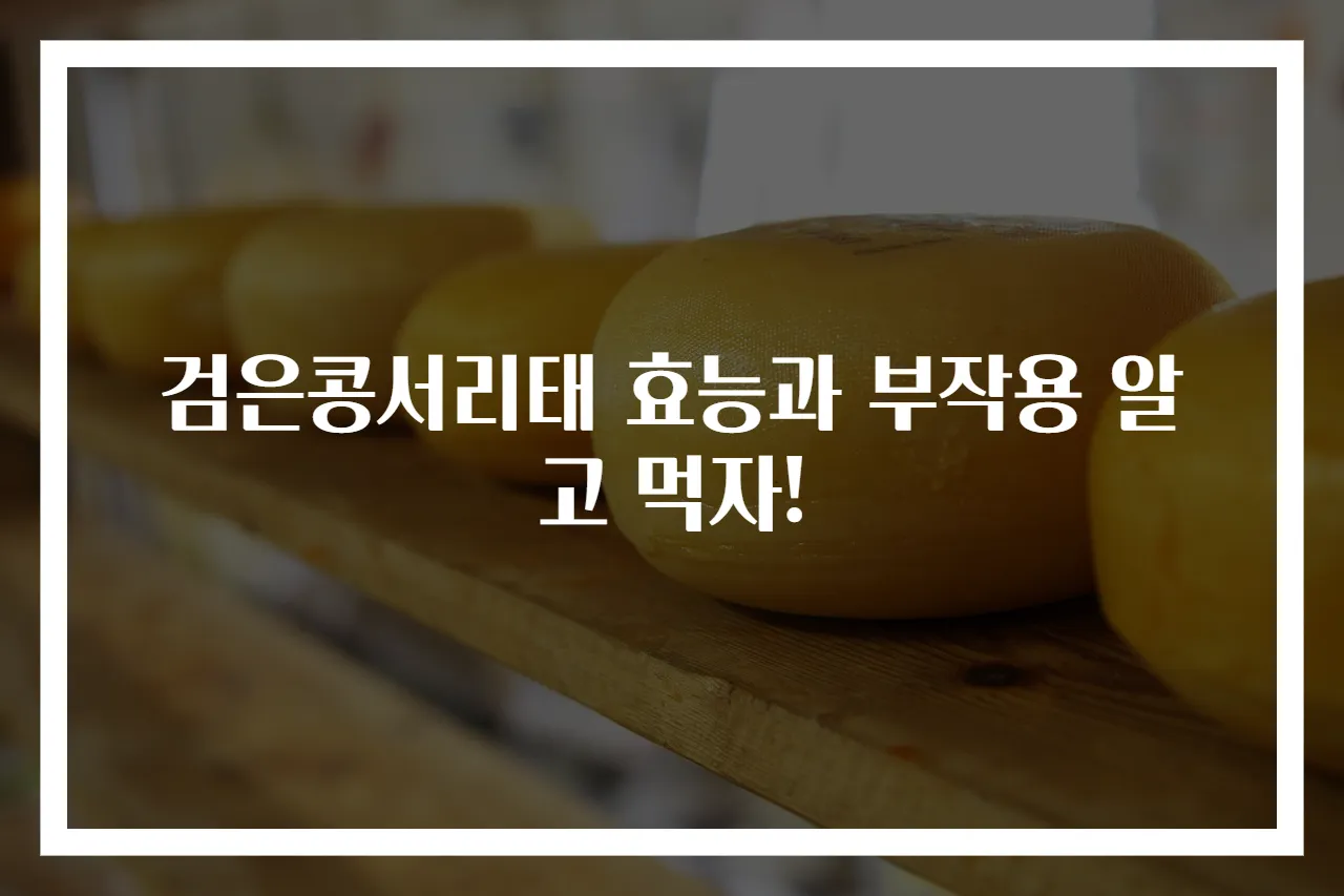 검은콩서리태 효능과 부작용 알고 먹자!