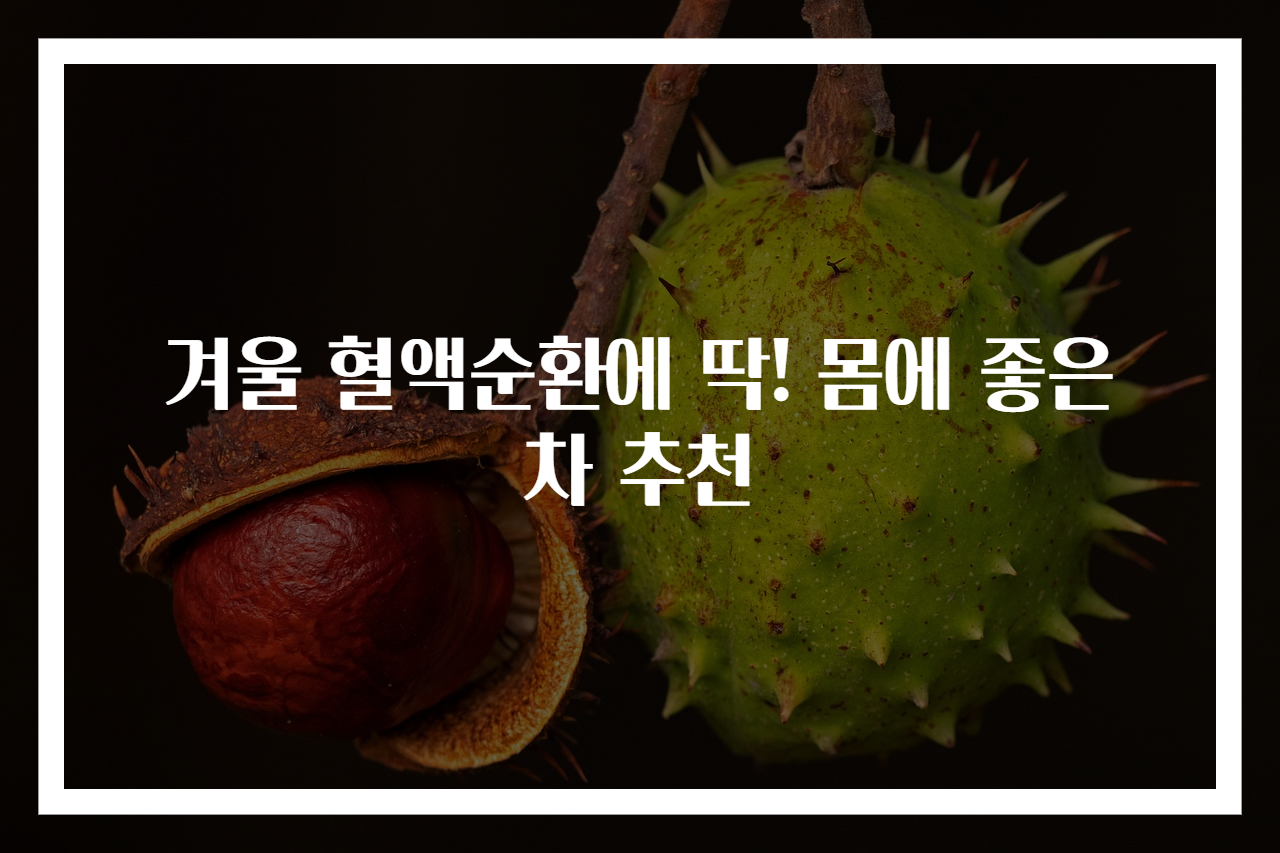 겨울 혈액순환에 딱! 몸에 좋은 차 추천