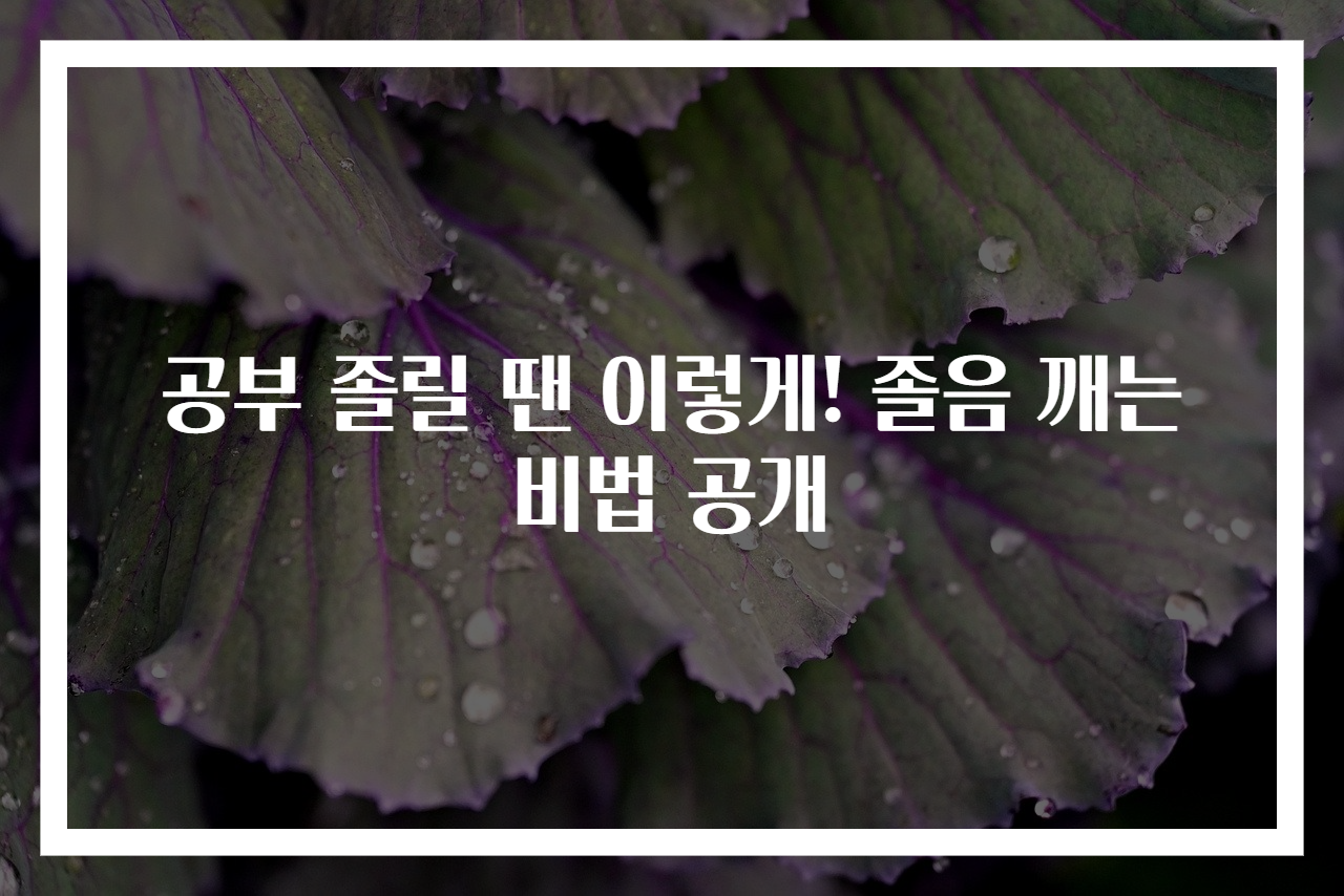 공부 졸릴 땐 이렇게! 졸음 깨는 비법 공개