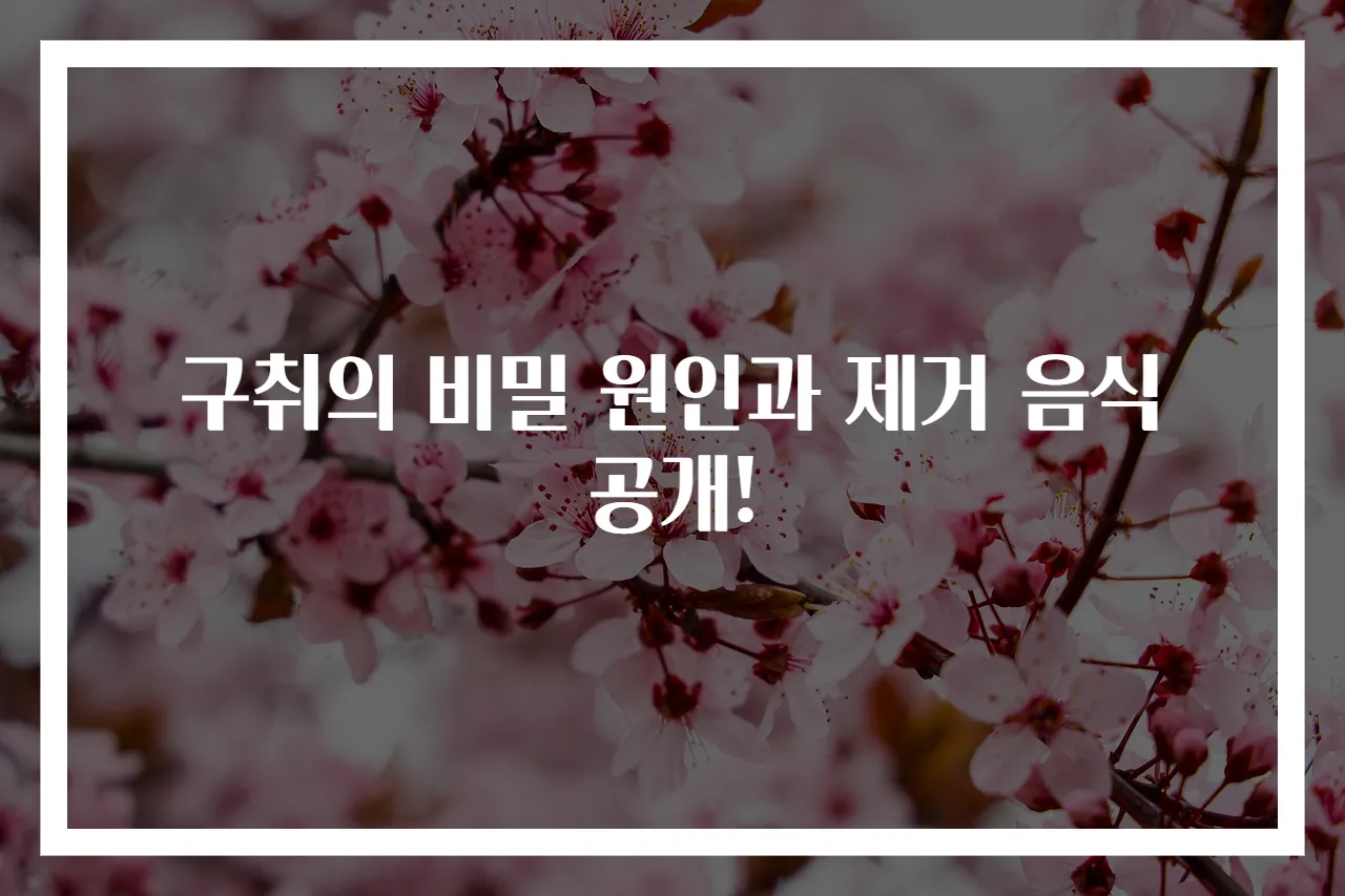 구취의 비밀 원인과 제거 음식 공개!