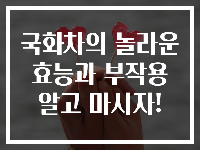 국화차의 놀라운 효능과 부작용 알고 마시자!