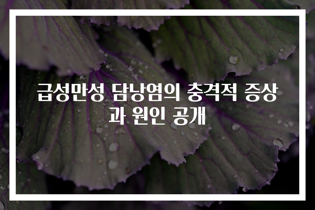 급성만성 담낭염의 충격적 증상과 원인 공개