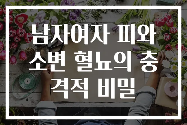 남자여자 피와 소변 혈뇨의 충격적 비밀