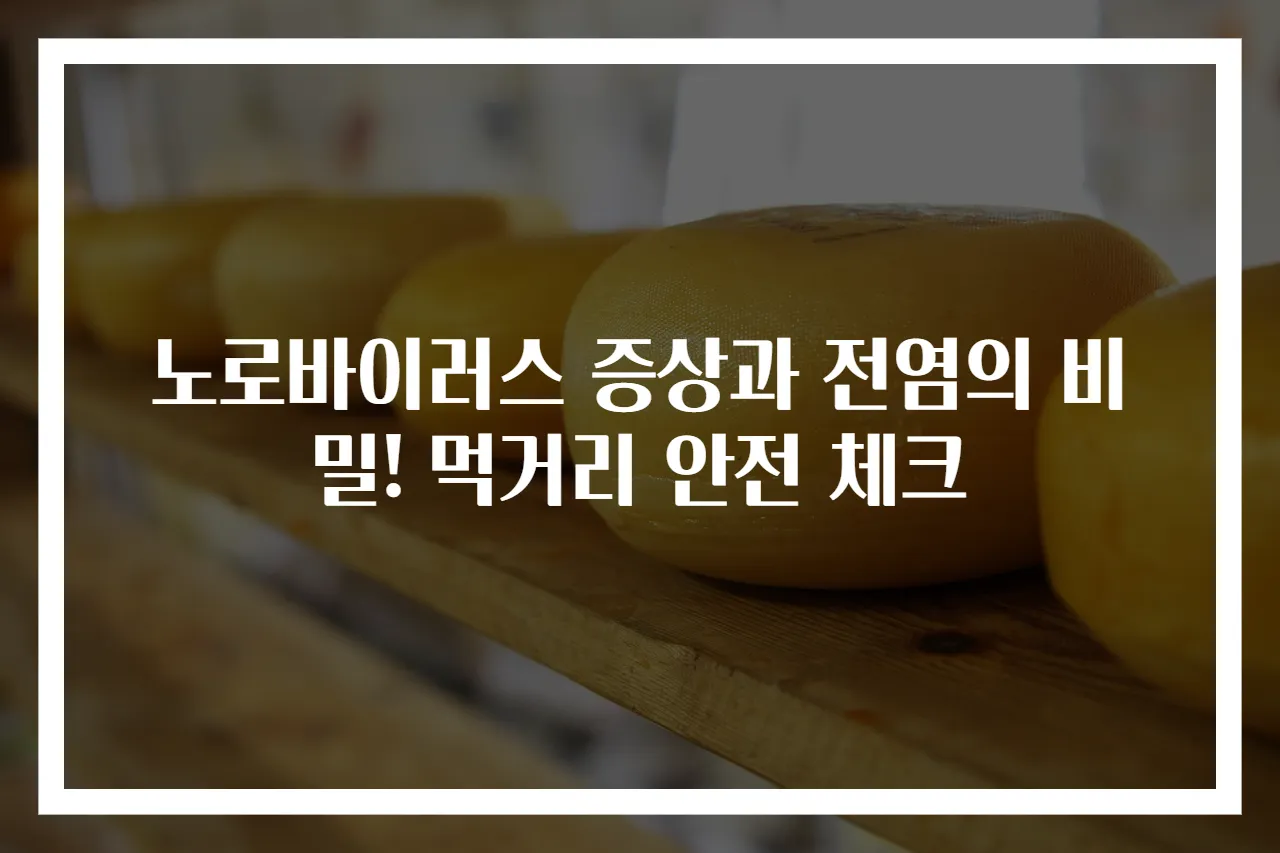 노로바이러스 증상과 전염의 비밀! 먹거리 안전 체크