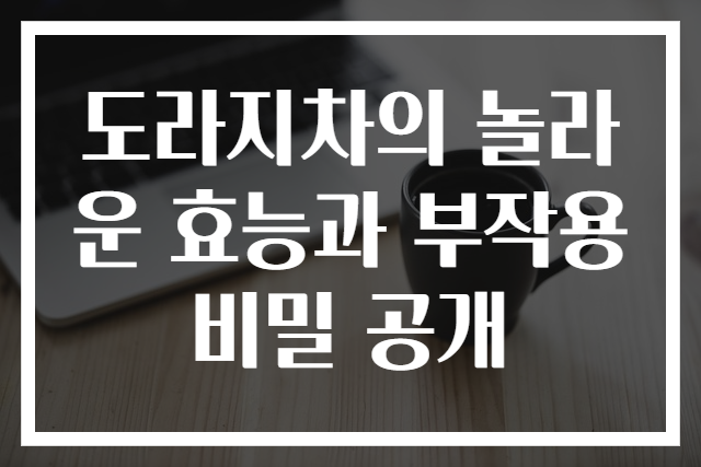 도라지차의 놀라운 효능과 부작용 비밀 공개