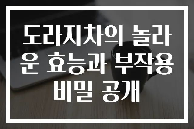 도라지차의 놀라운 효능과 부작용 비밀 공개