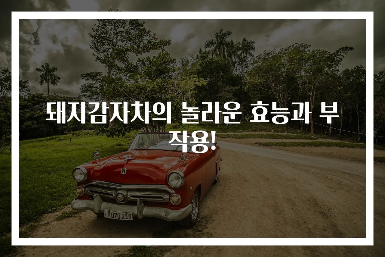 돼지감자차의 놀라운 효능과 부작용!