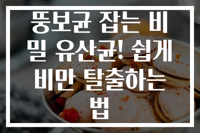 뚱보균 잡는 비밀 유산균! 쉽게 비만 탈출하는 법