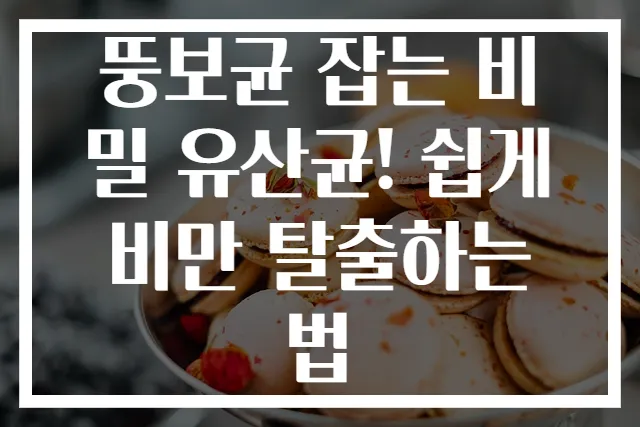 뚱보균 잡는 비밀 유산균! 쉽게 비만 탈출하는 법