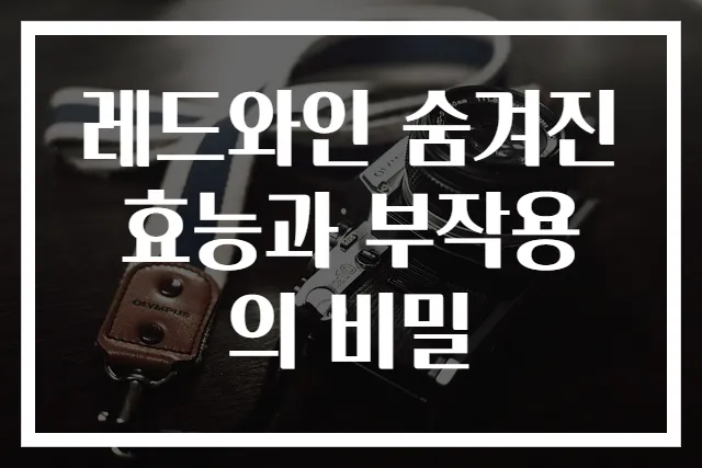 레드와인 숨겨진 효능과 부작용의 비밀