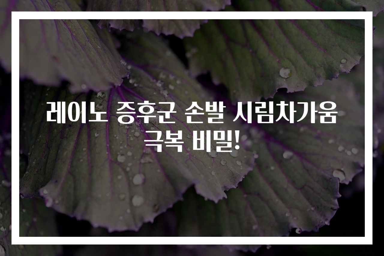 레이노 증후군 손발 시림차가움 극복 비밀!