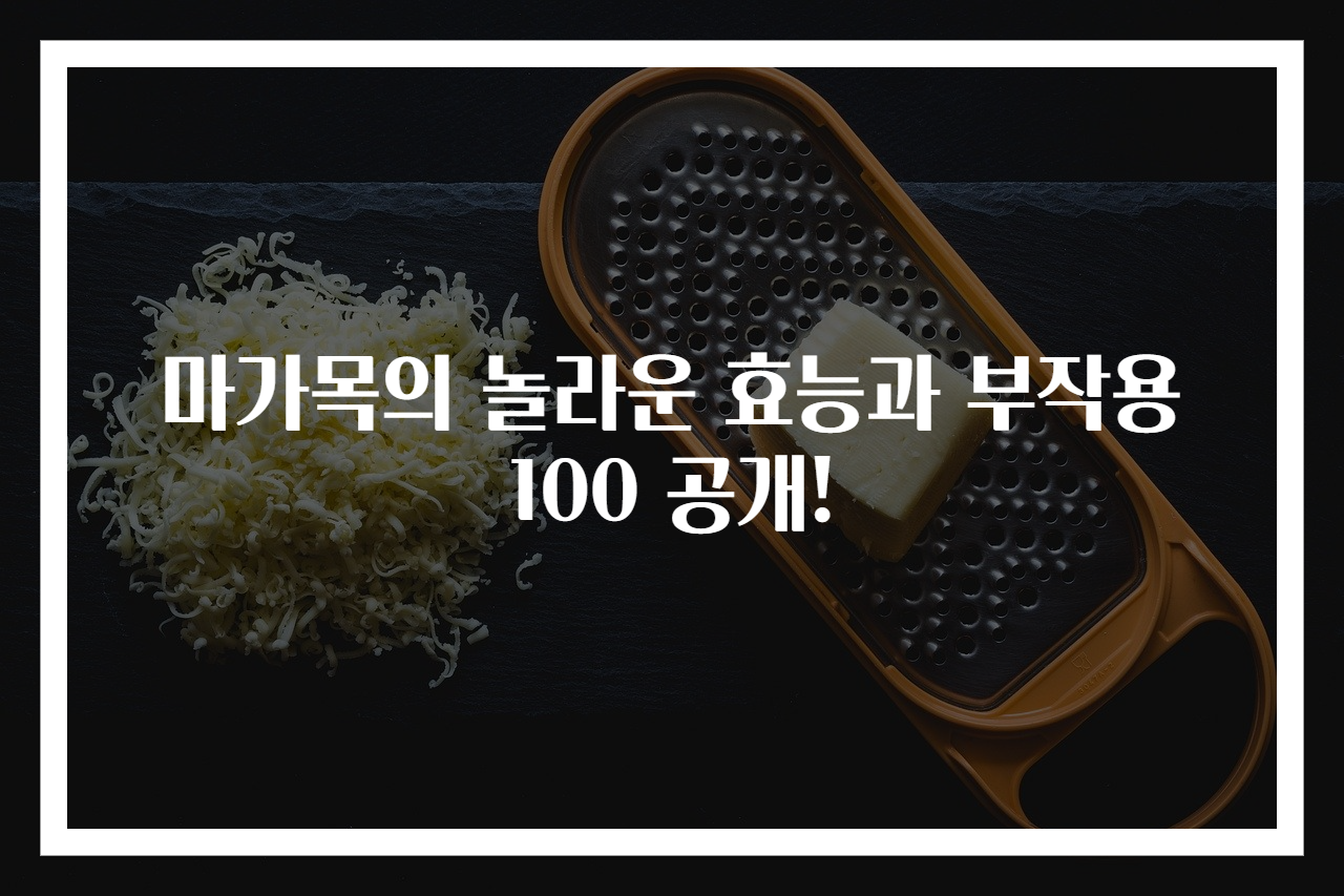 마가목의 놀라운 효능과 부작용 100 공개!