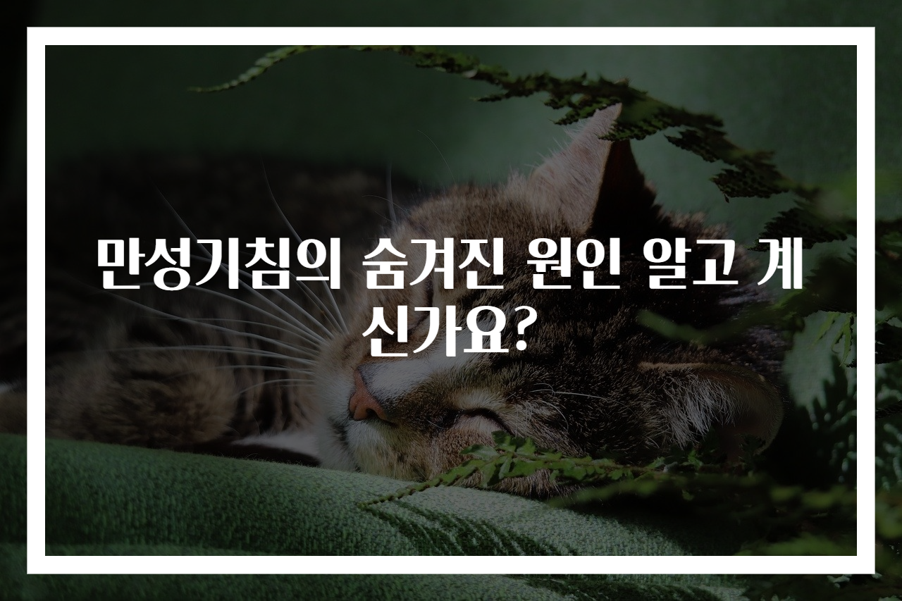 만성기침의 숨겨진 원인 알고 계신가요?