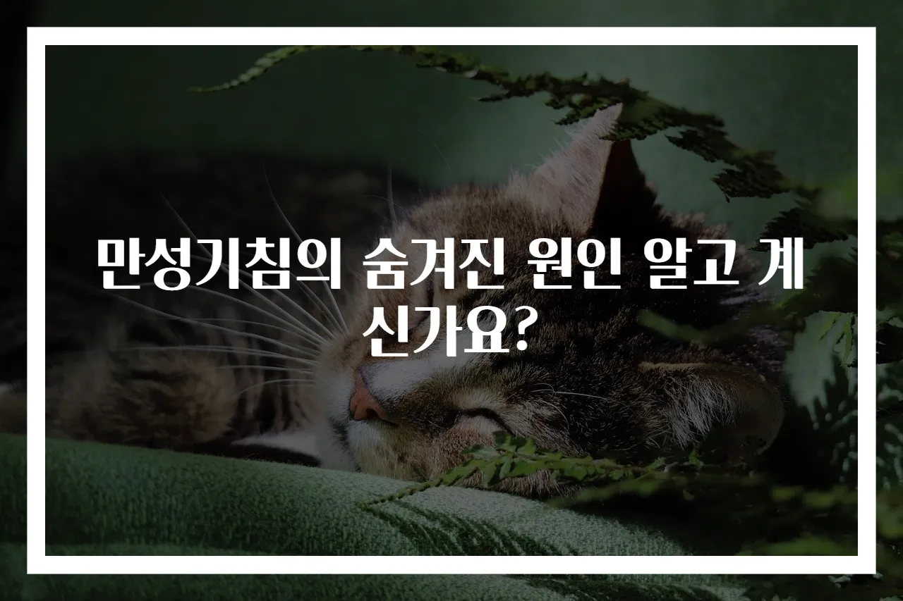 만성기침의 숨겨진 원인 알고 계신가요?