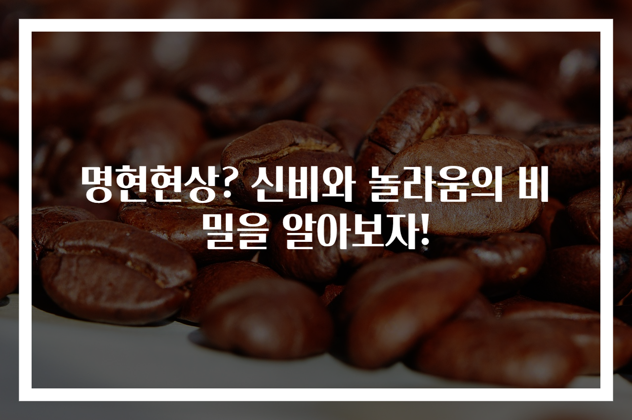 명현현상? 신비와 놀라움의 비밀을 알아보자!