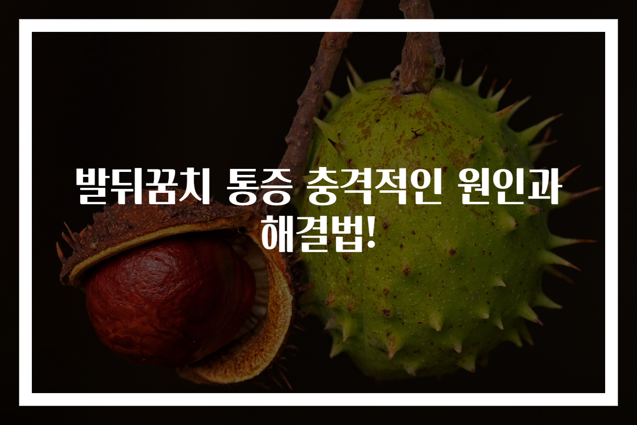 발뒤꿈치 통증 충격적인 원인과 해결법!