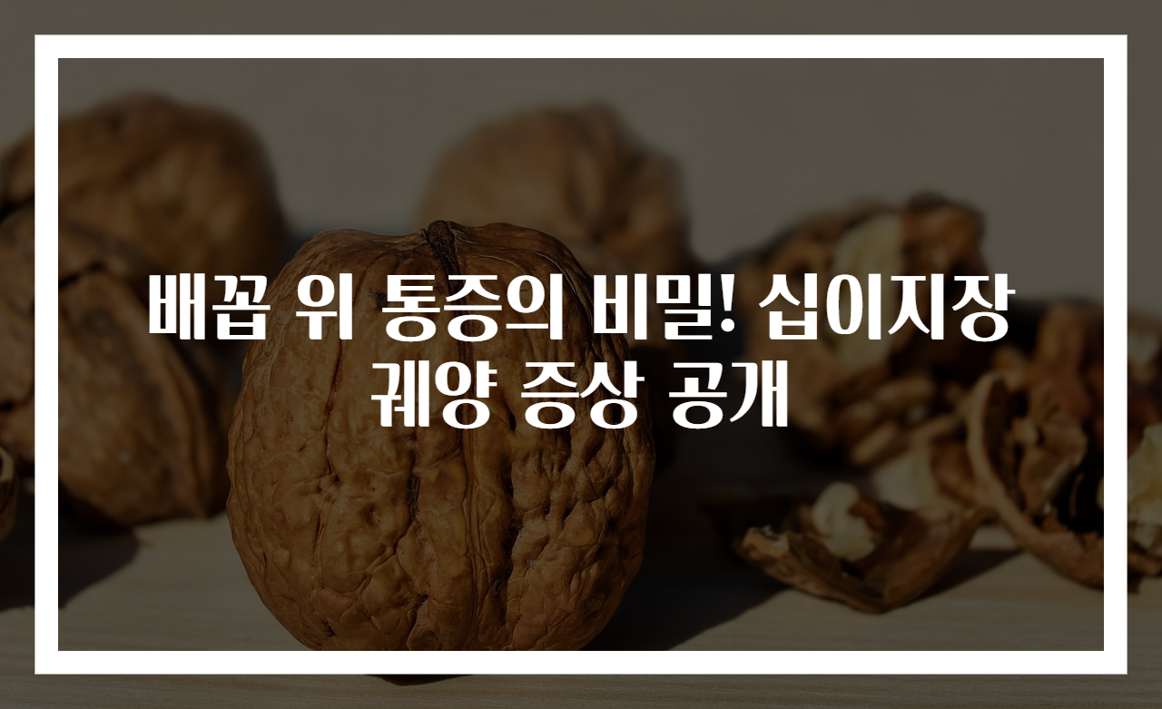 배꼽 위 통증의 비밀! 십이지장궤양 증상 공개