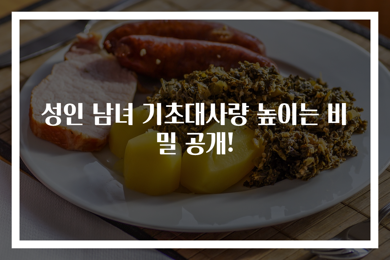 성인 남녀 기초대사량 높이는 비밀 공개!