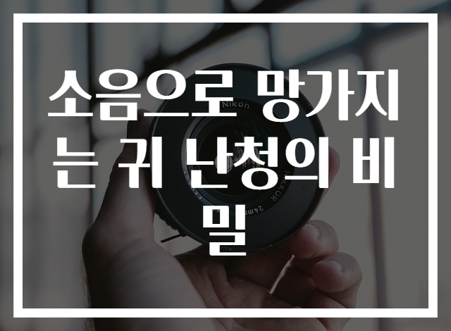 소음으로 망가지는 귀 난청의 비밀