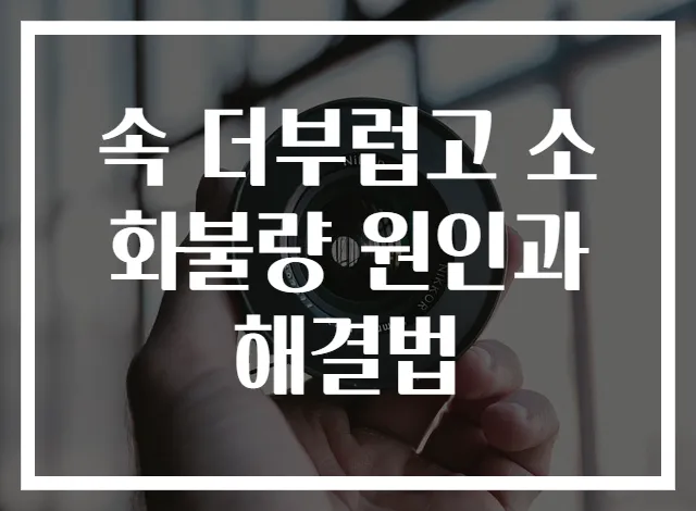 속 더부럽고 소화불량 원인과 해결법