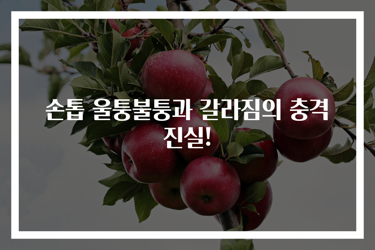 손톱 울퉁불퉁과 갈라짐의 충격 진실!