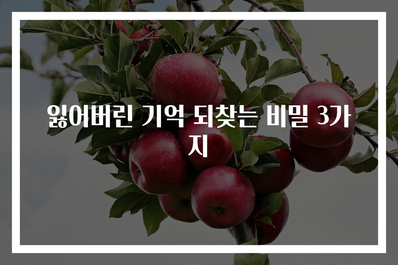잃어버린 기억 되찾는 비밀 3가지