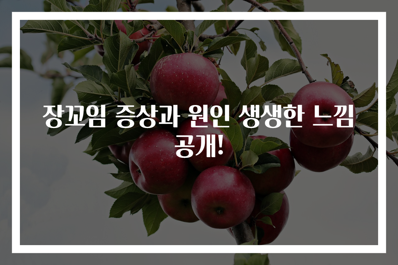 장꼬임 증상과 원인 생생한 느낌 공개!