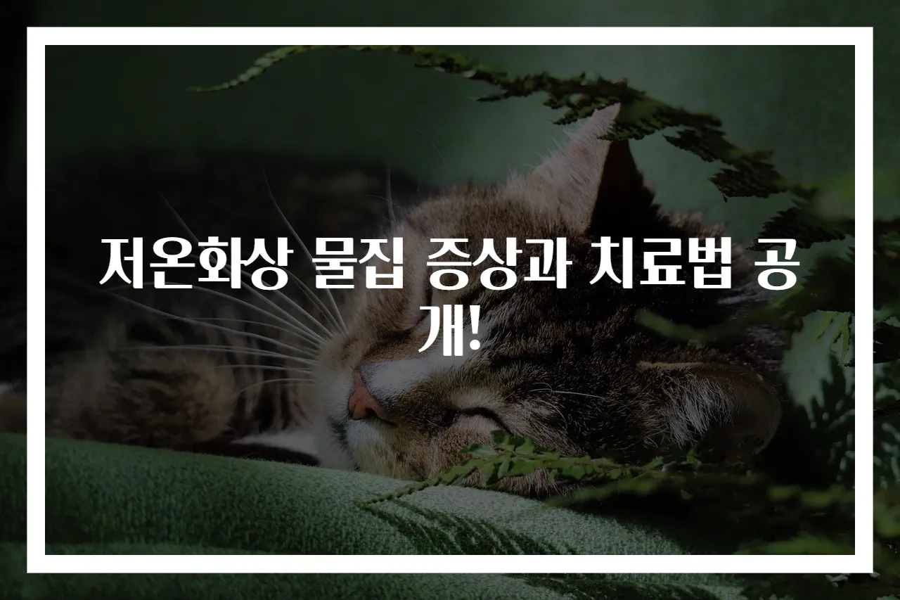 저온화상 물집 증상과 치료법 공개!