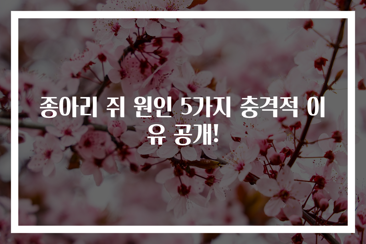 종아리 쥐 원인 5가지 충격적 이유 공개!