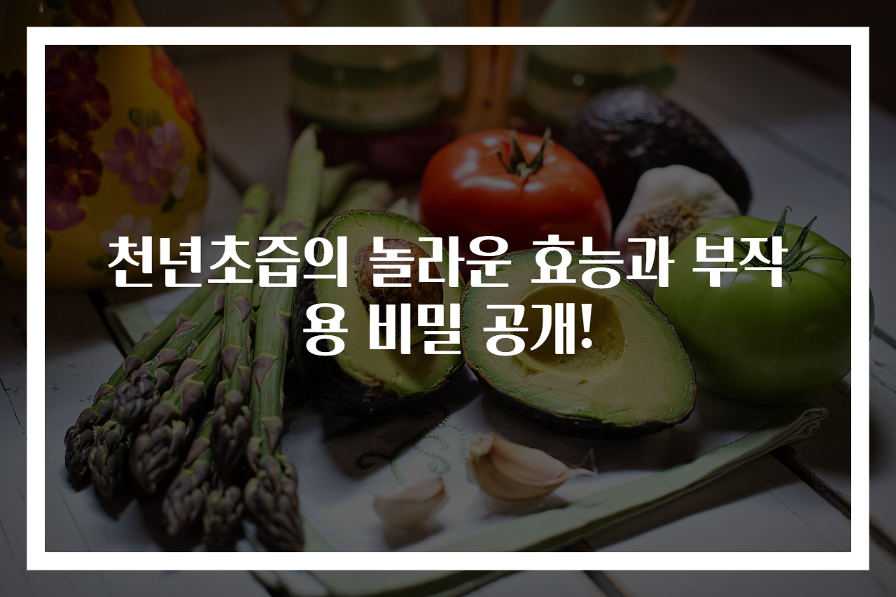 천년초즙의 놀라운 효능과 부작용 비밀 공개!