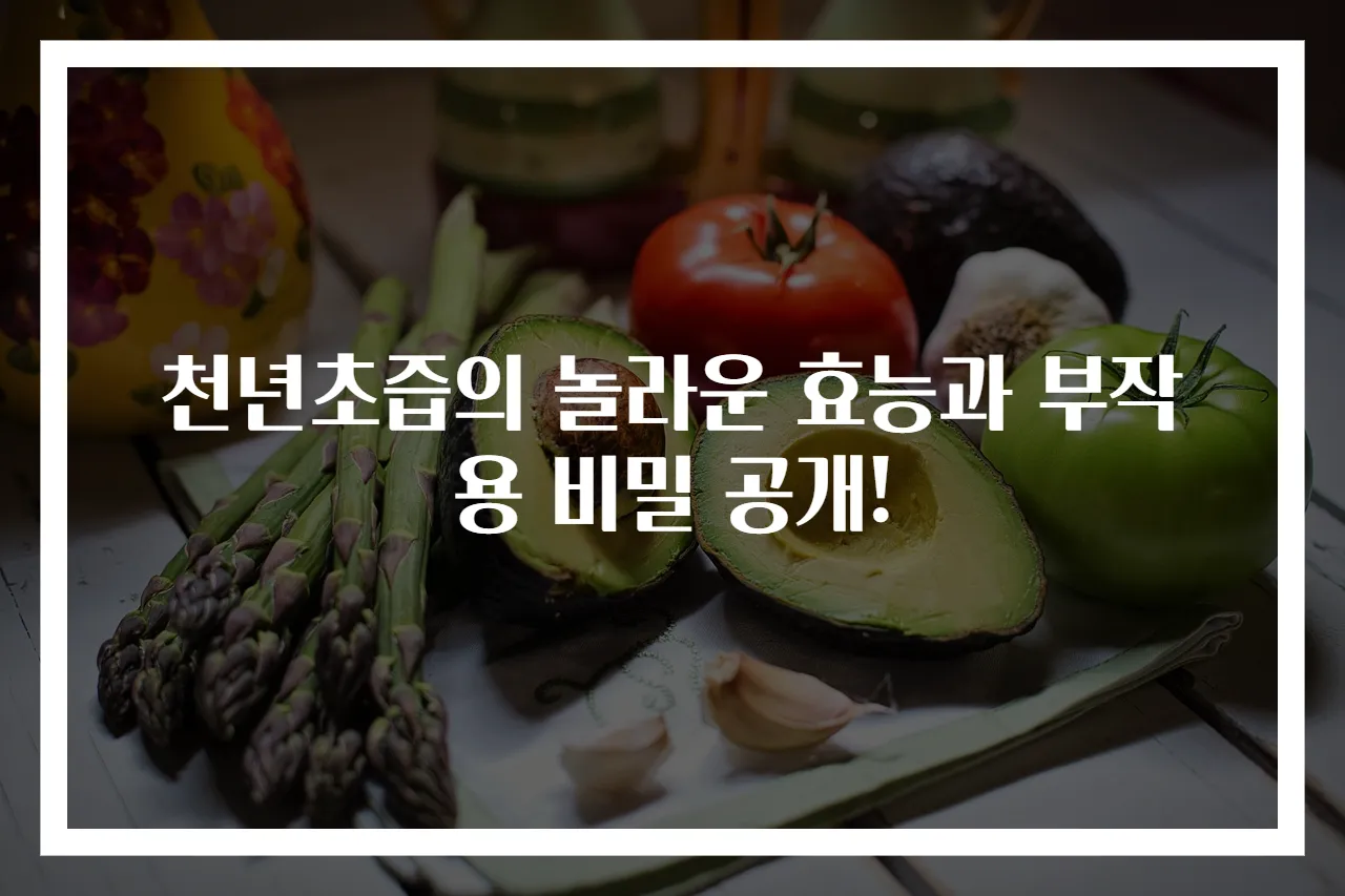 천년초즙의 놀라운 효능과 부작용 비밀 공개!