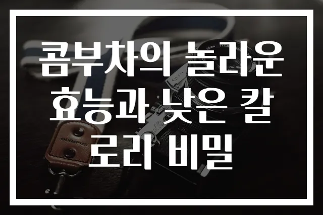 콤부차의 놀라운 효능과 낮은 칼로리 비밀