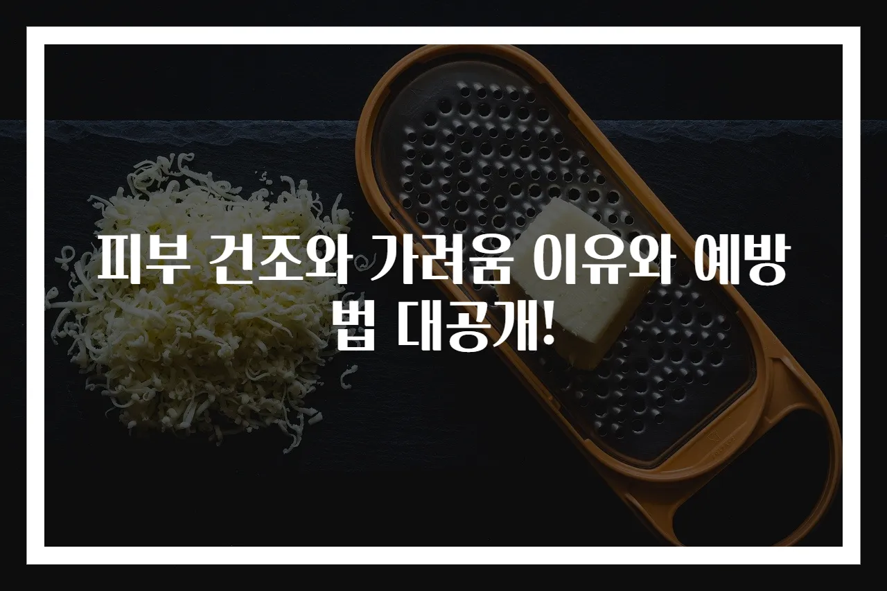 피부 건조와 가려움 이유와 예방법 대공개!