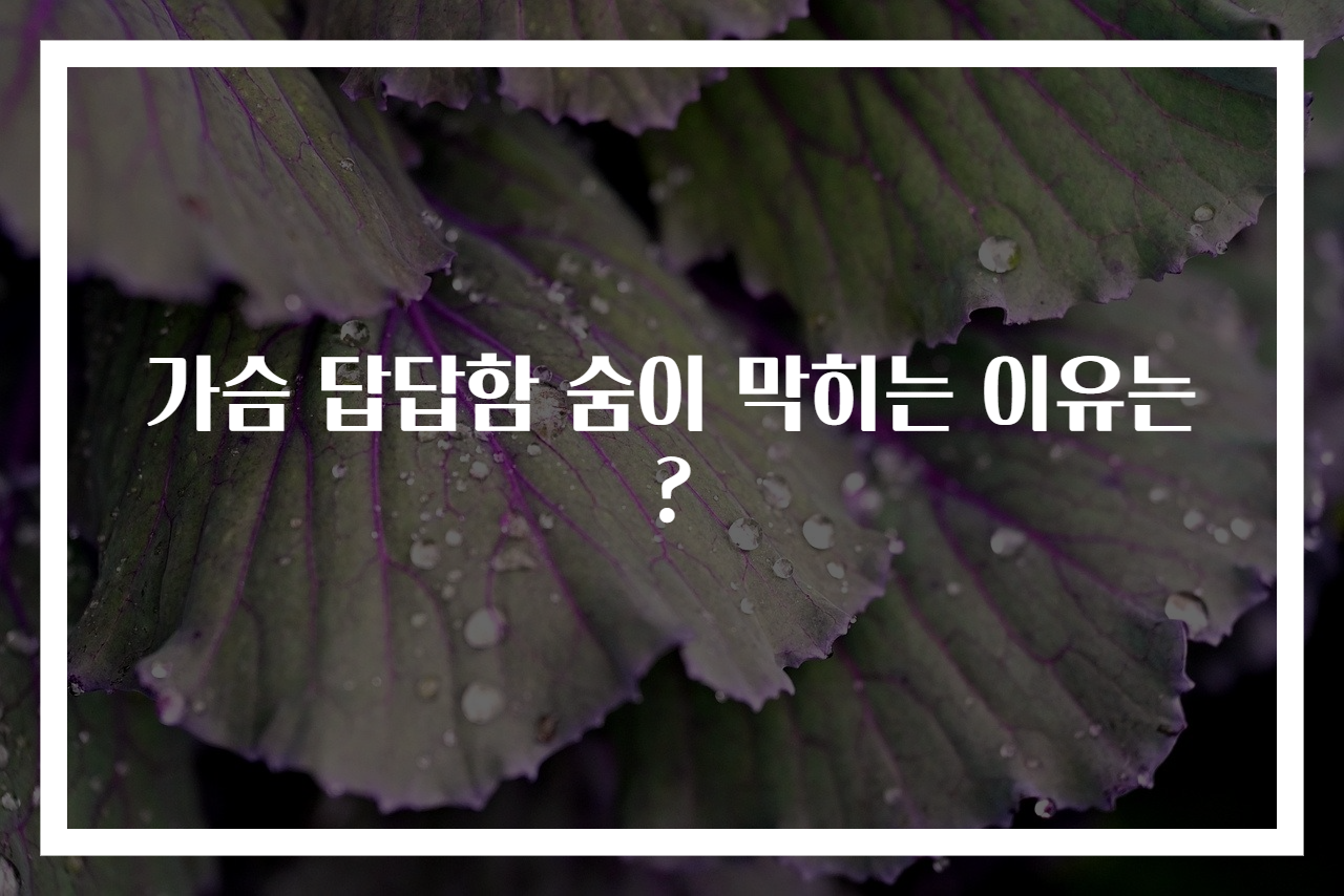 가슴 답답함 숨이 막히는 이유는?