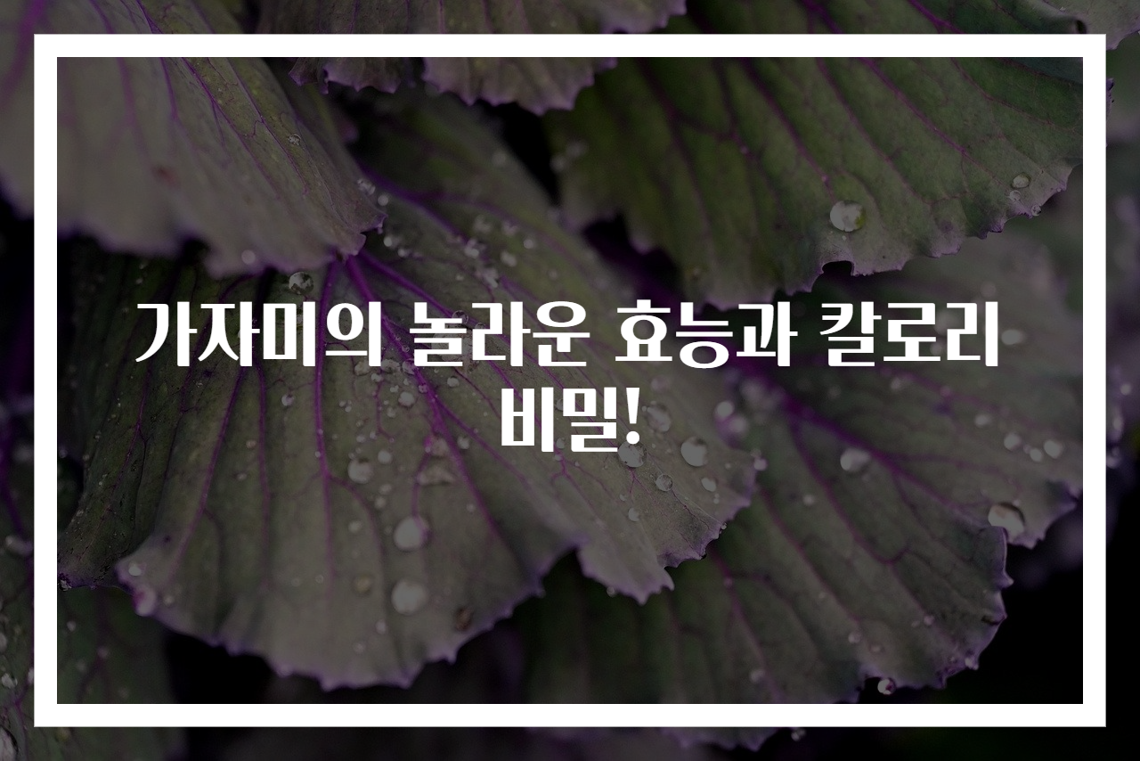 가자미의 놀라운 효능과 칼로리 비밀!