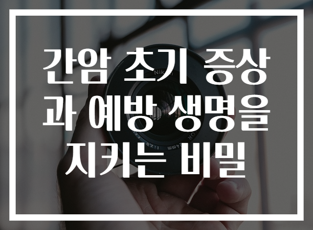 간암 초기 증상과 예방 생명을 지키는 비밀