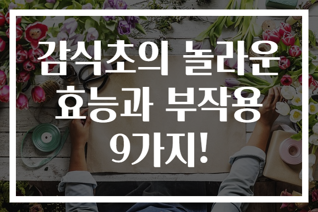 감식초의 놀라운 효능과 부작용 9가지!