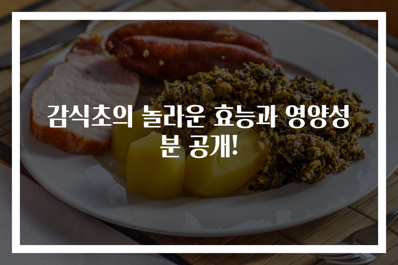 감식초의 놀라운 효능과 영양성분 공개!