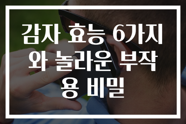 감자 효능 6가지와 놀라운 부작용 비밀