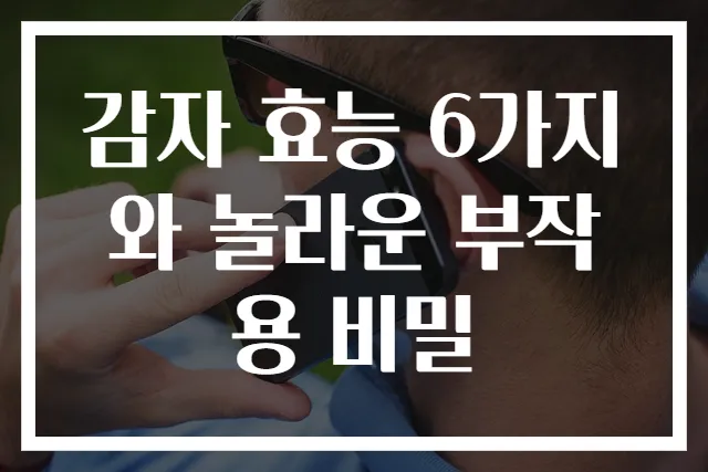 감자 효능 6가지와 놀라운 부작용 비밀