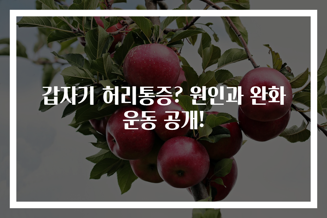 갑자기 허리통증? 원인과 완화 운동 공개!