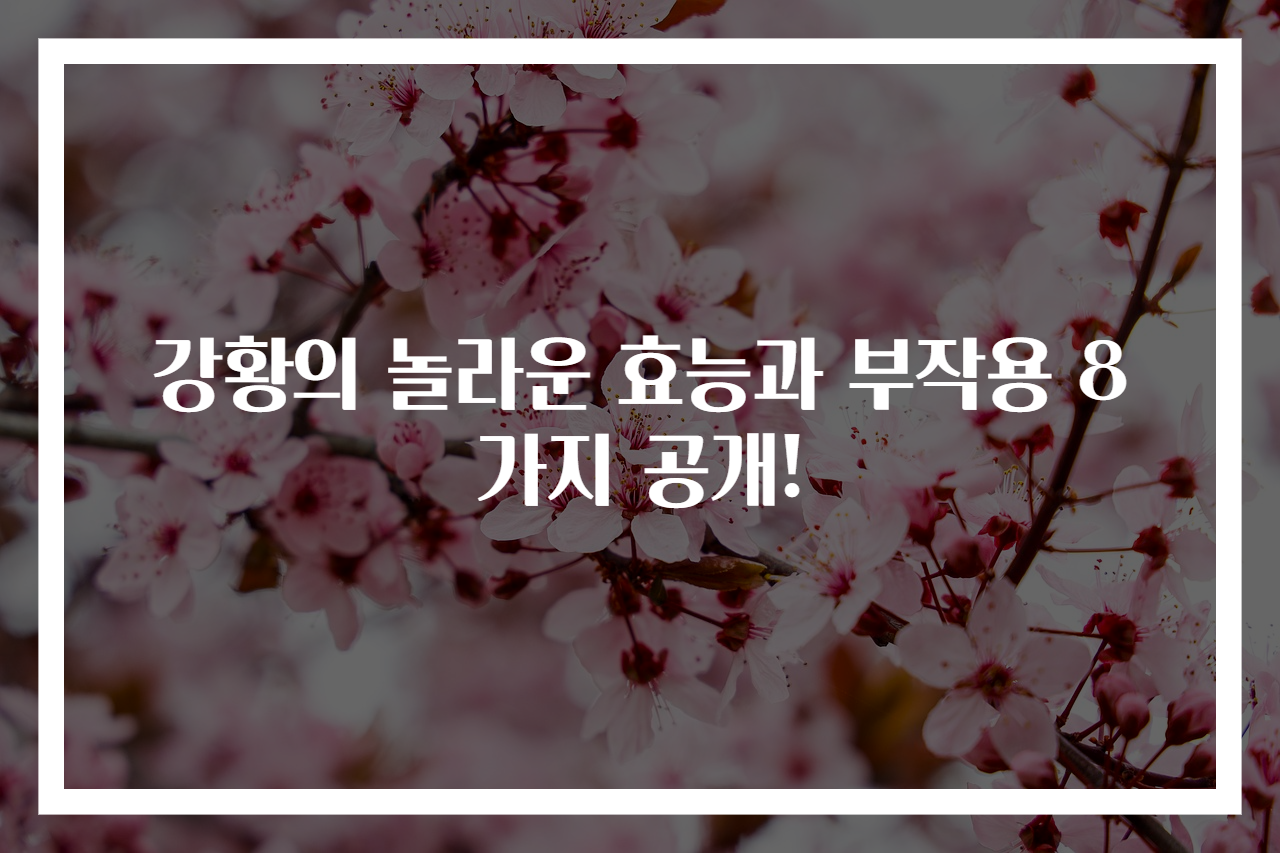 강황의 놀라운 효능과 부작용 8가지 공개!