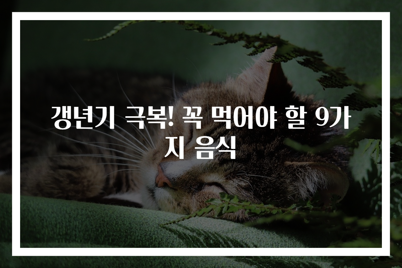 갱년기 극복! 꼭 먹어야 할 9가지 음식