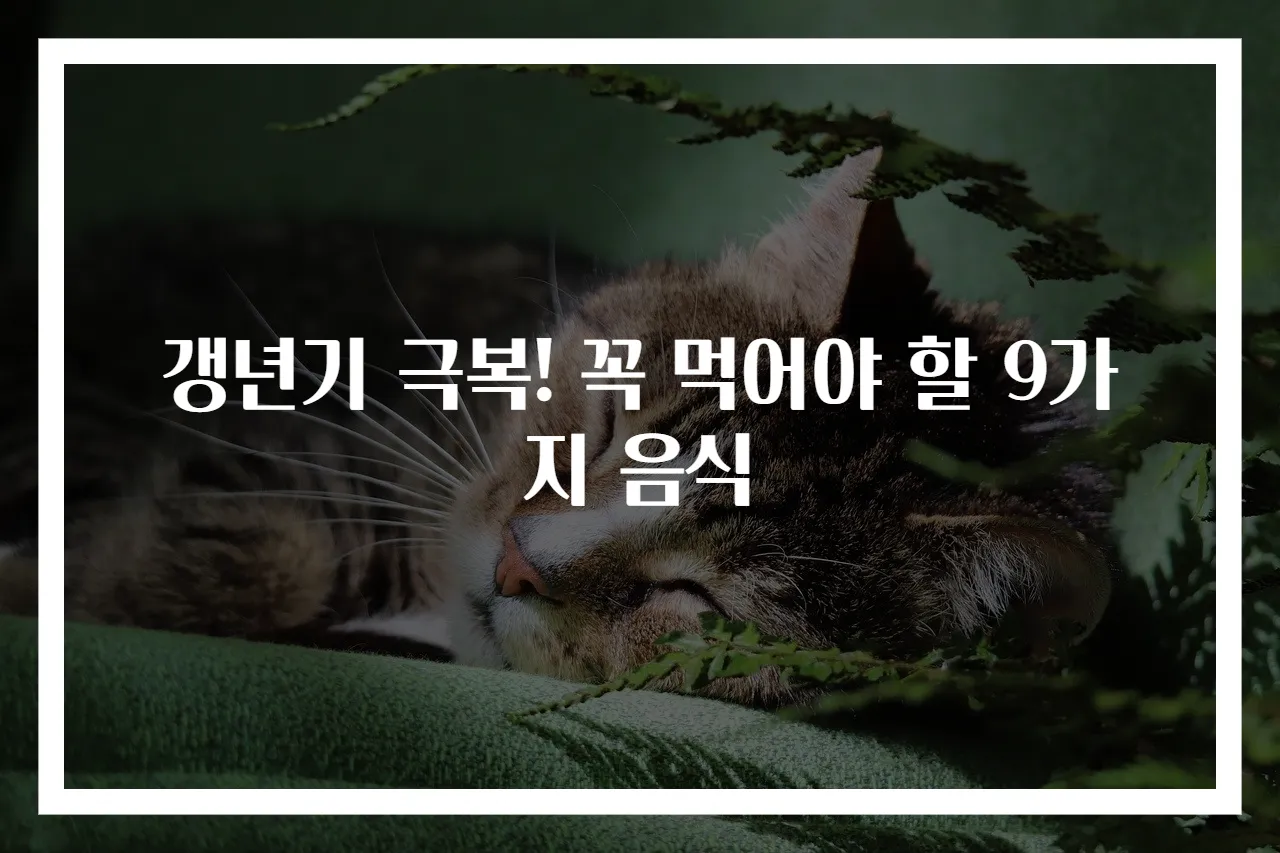 갱년기 극복! 꼭 먹어야 할 9가지 음식