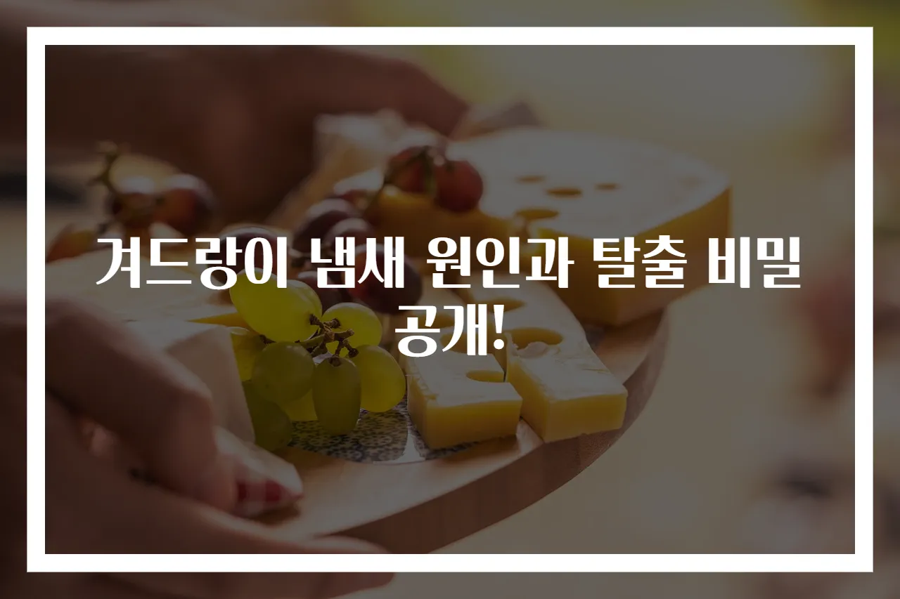 겨드랑이 냄새 원인과 탈출 비밀 공개!